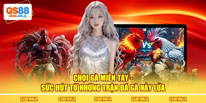 Chọi Gà Miền Tây - Sức Hút Từ Những Trận Đá Gà Nảy Lửa