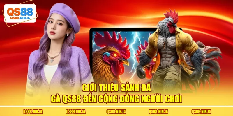 Giới thiệu sảnh đá gà Qs88 đến cộng đồng người chơi
