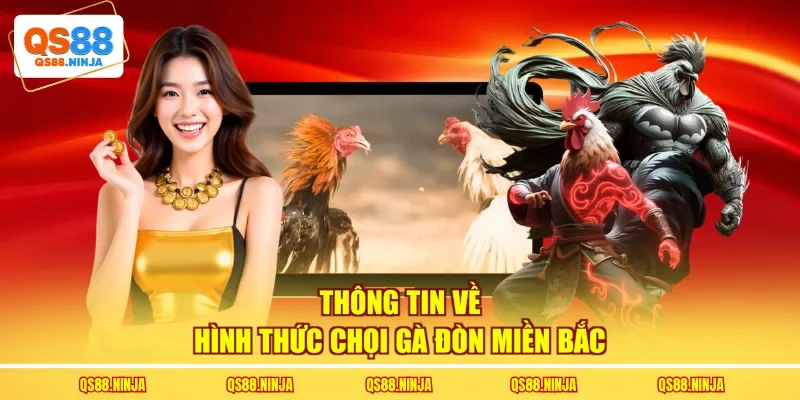 Thông tin về hình thức chọi gà đòn miền Bắc